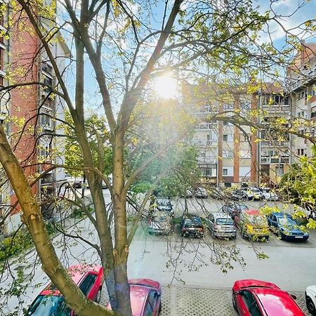 Apartman Jelena Apartment สเรมสกา มิโตรวิตซา ภายนอก รูปภาพ