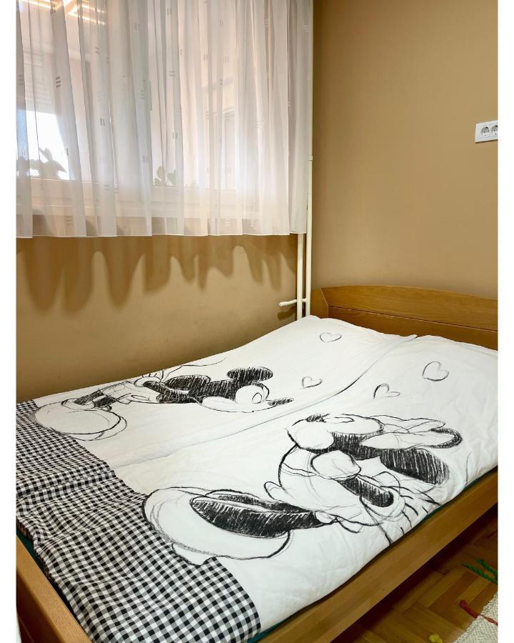 Apartman Jelena Apartment สเรมสกา มิโตรวิตซา ภายนอก รูปภาพ