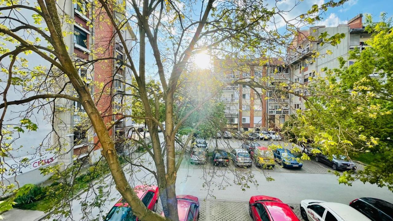 Apartman Jelena Apartment สเรมสกา มิโตรวิตซา ภายนอก รูปภาพ